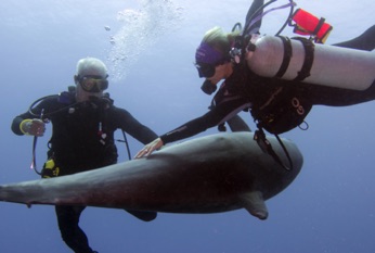 Rangiroa Richard and Michele